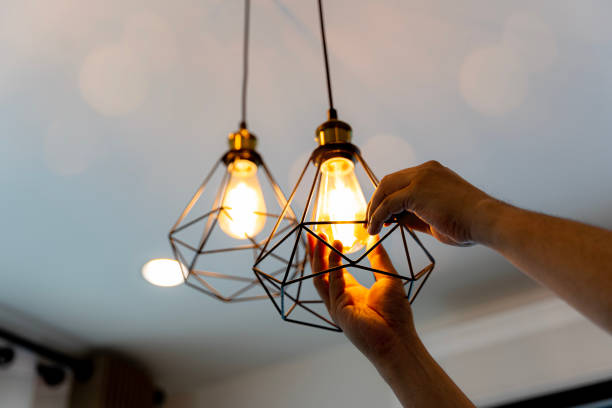 Best Home Electrical Repair  in St Joseph, MI